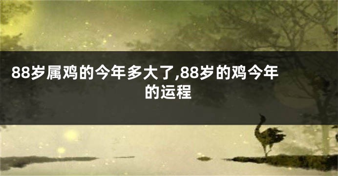 88岁属鸡的今年多大了,88岁的鸡今年的运程
