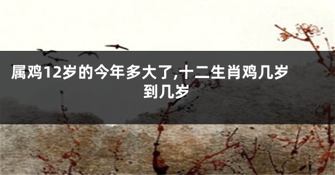 属鸡12岁的今年多大了,十二生肖鸡几岁到几岁