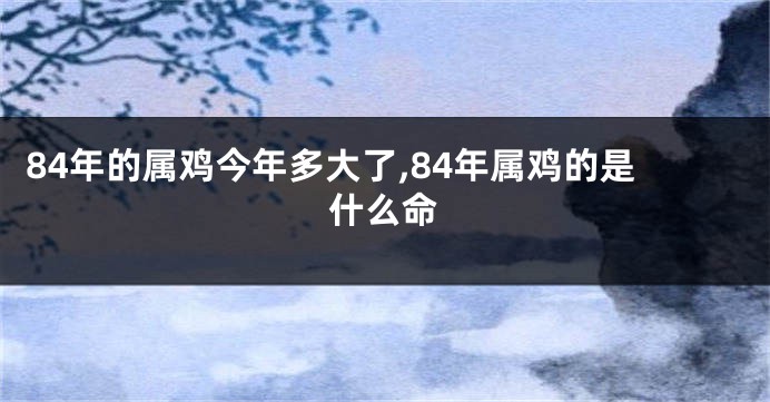 84年的属鸡今年多大了,84年属鸡的是什么命