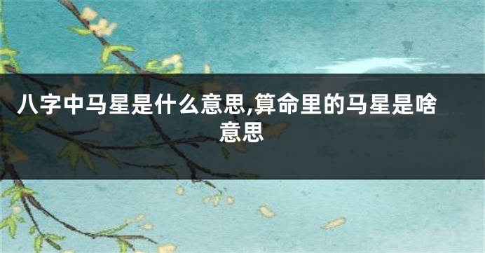 八字中马星是什么意思,算命里的马星是啥意思