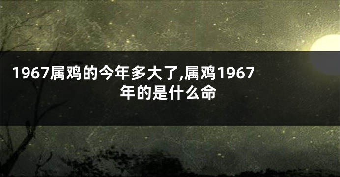 1967属鸡的今年多大了,属鸡1967年的是什么命