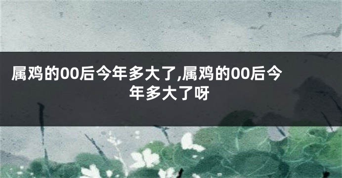 属鸡的00后今年多大了,属鸡的00后今年多大了呀