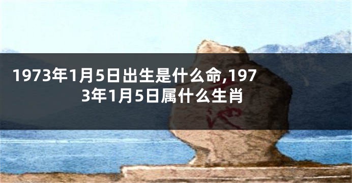 1973年1月5日出生是什么命,1973年1月5日属什么生肖