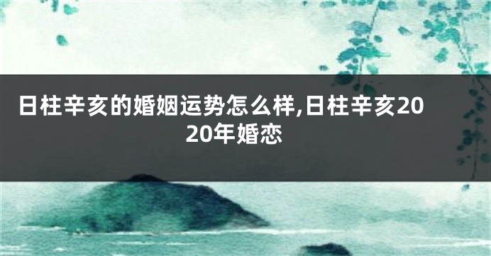 日柱辛亥的婚姻运势怎么样,日柱辛亥2020年婚恋