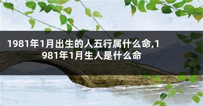 1981年1月出生的人五行属什么命,1981年1月生人是什么命