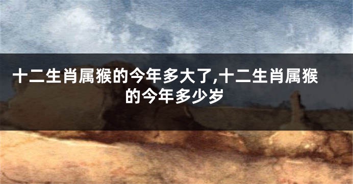 十二生肖属猴的今年多大了,十二生肖属猴的今年多少岁