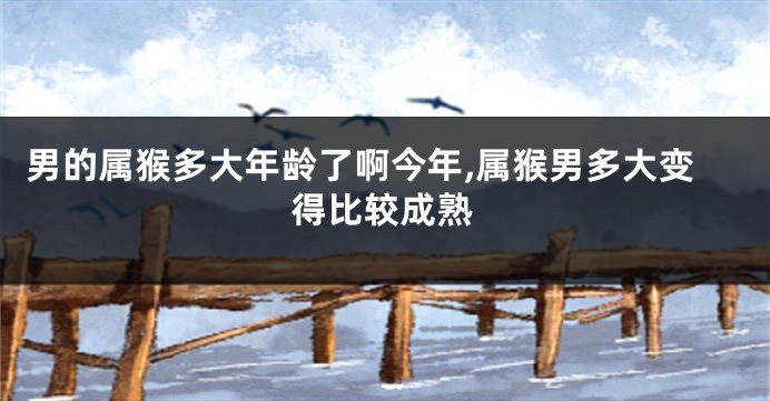 男的属猴多大年龄了啊今年,属猴男多大变得比较成熟