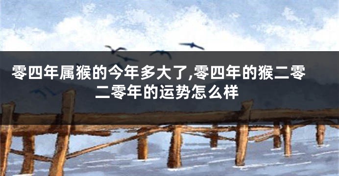 零四年属猴的今年多大了,零四年的猴二零二零年的运势怎么样