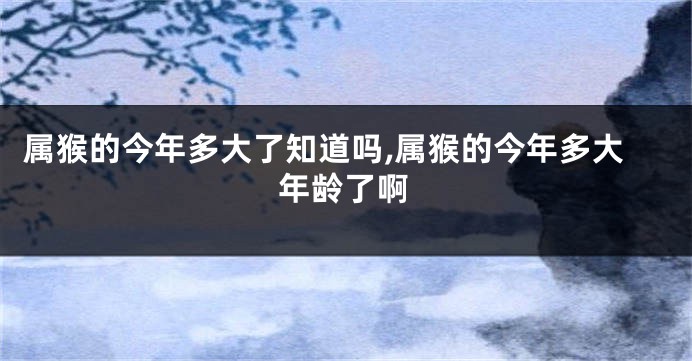 属猴的今年多大了知道吗,属猴的今年多大年龄了啊