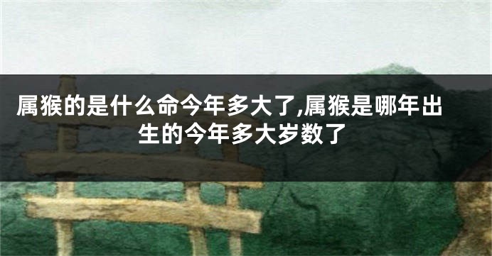 属猴的是什么命今年多大了,属猴是哪年出生的今年多大岁数了