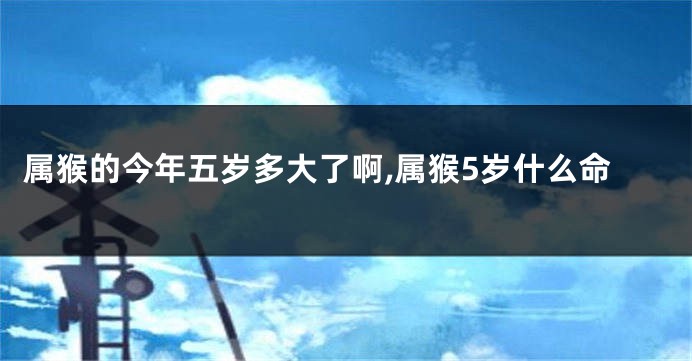 属猴的今年五岁多大了啊,属猴5岁什么命
