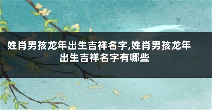 姓肖男孩龙年出生吉祥名字,姓肖男孩龙年出生吉祥名字有哪些