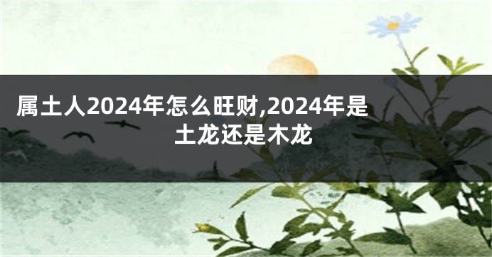 属土人2024年怎么旺财,2024年是土龙还是木龙