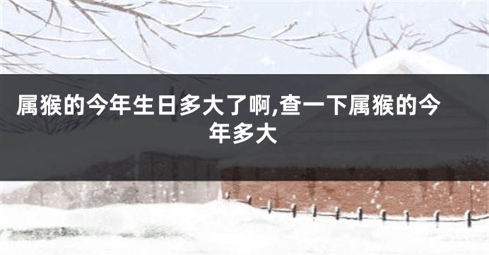 属猴的今年生日多大了啊,查一下属猴的今年多大