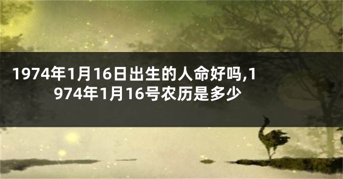 1974年1月16日出生的人命好吗,1974年1月16号农历是多少