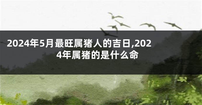 2024年5月最旺属猪人的吉日,2024年属猪的是什么命