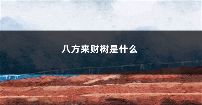八方来财树是什么