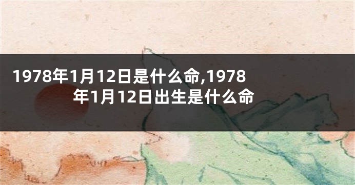 1978年1月12日是什么命,1978年1月12日出生是什么命