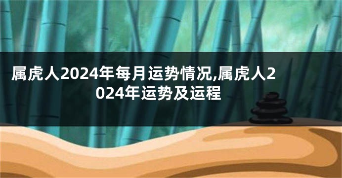 属虎人2024年每月运势情况,属虎人2024年运势及运程