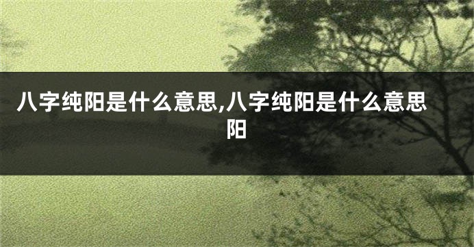 八字纯阳是什么意思,八字纯阳是什么意思阳