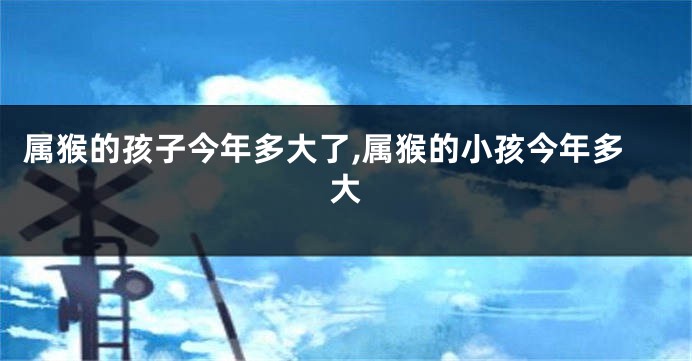 属猴的孩子今年多大了,属猴的小孩今年多大