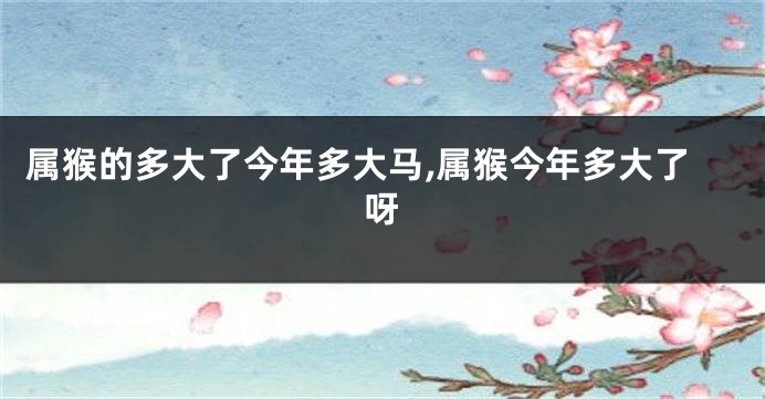 属猴的多大了今年多大马,属猴今年多大了呀