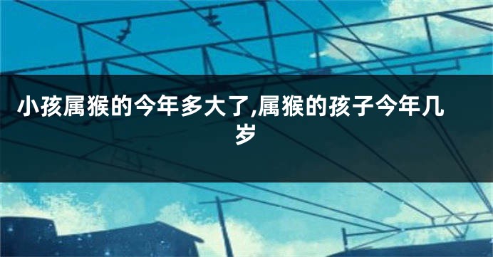 小孩属猴的今年多大了,属猴的孩子今年几岁