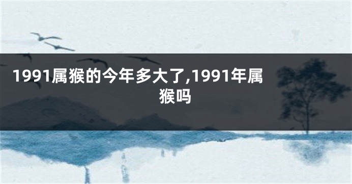 1991属猴的今年多大了,1991年属猴吗