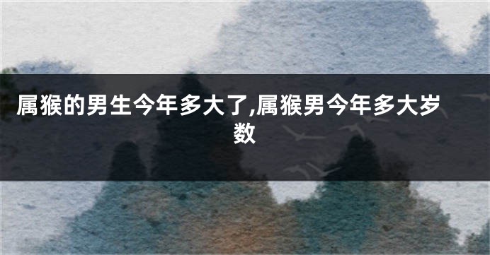 属猴的男生今年多大了,属猴男今年多大岁数