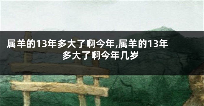 属羊的13年多大了啊今年,属羊的13年多大了啊今年几岁