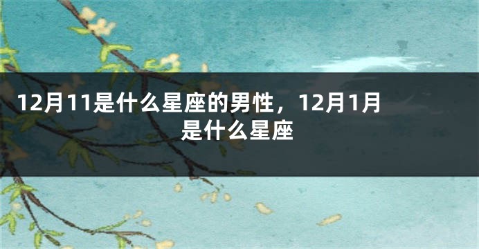 12月11是什么星座的男性，12月1月是什么星座