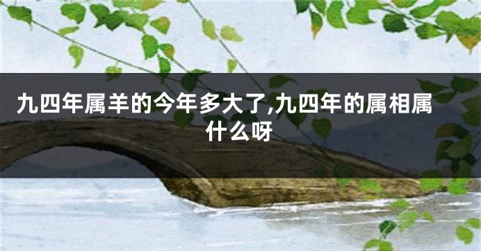 九四年属羊的今年多大了,九四年的属相属什么呀