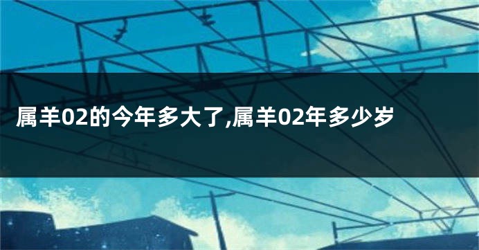 属羊02的今年多大了,属羊02年多少岁