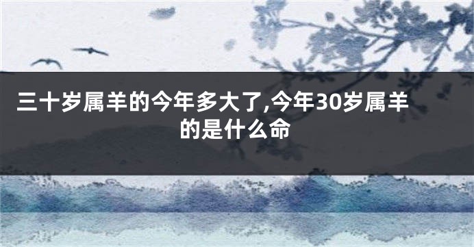 三十岁属羊的今年多大了,今年30岁属羊的是什么命