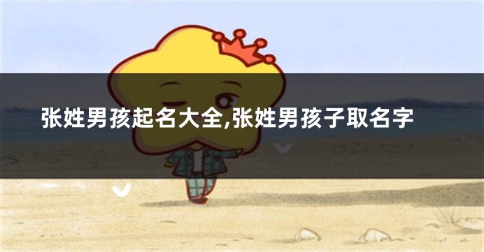 张姓男孩起名大全,张姓男孩子取名字