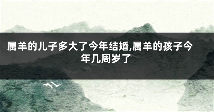 属羊的儿子多大了今年结婚,属羊的孩子今年几周岁了