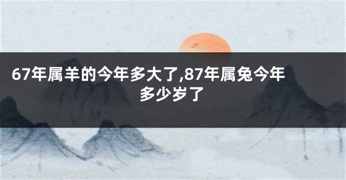 67年属羊的今年多大了,87年属兔今年多少岁了