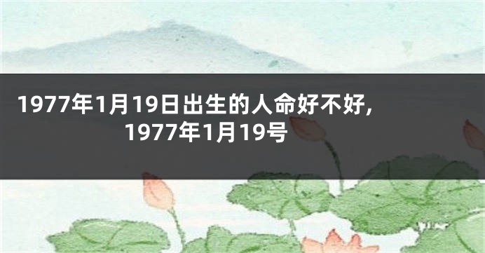 1977年1月19日出生的人命好不好,1977年1月19号