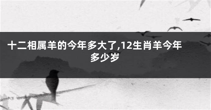 十二相属羊的今年多大了,12生肖羊今年多少岁