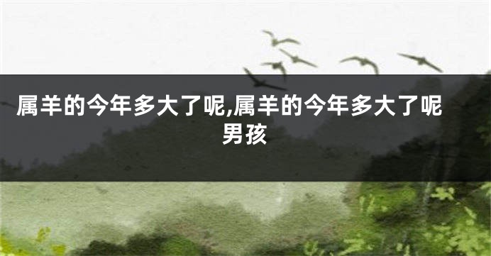 属羊的今年多大了呢,属羊的今年多大了呢男孩