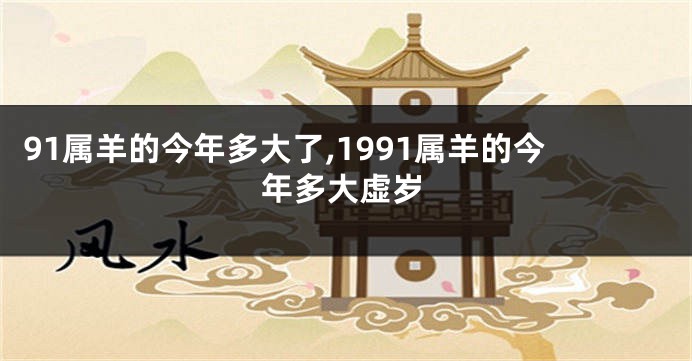 91属羊的今年多大了,1991属羊的今年多大虚岁