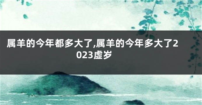 属羊的今年都多大了,属羊的今年多大了2023虚岁