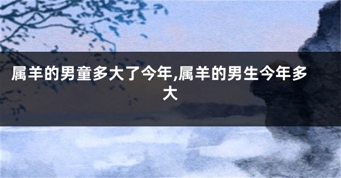 属羊的男童多大了今年,属羊的男生今年多大