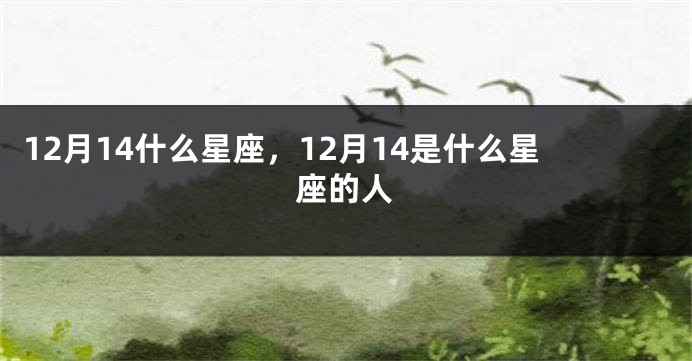 12月14什么星座，12月14是什么星座的人