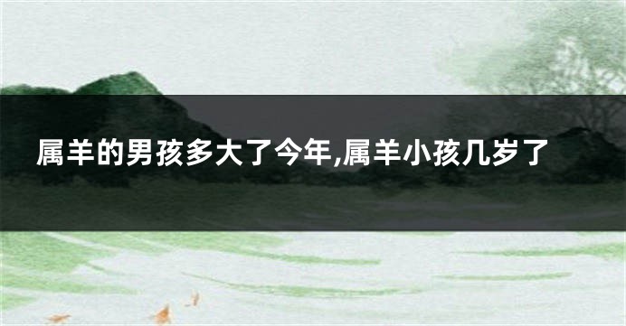 属羊的男孩多大了今年,属羊小孩几岁了