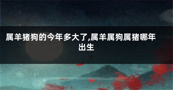 属羊猪狗的今年多大了,属羊属狗属猪哪年出生