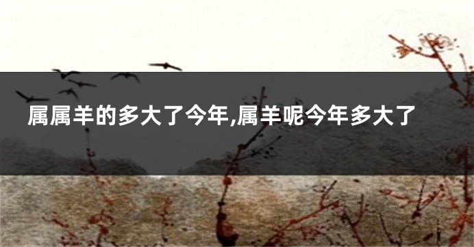 属属羊的多大了今年,属羊呢今年多大了