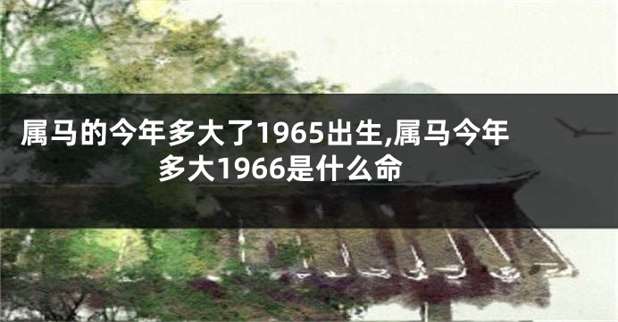 属马的今年多大了1965出生,属马今年多大1966是什么命