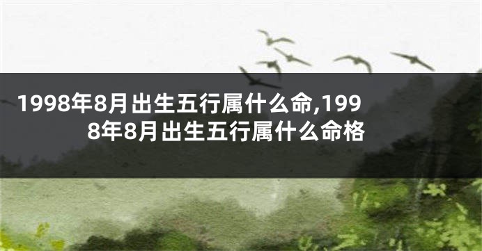 1998年8月出生五行属什么命,1998年8月出生五行属什么命格