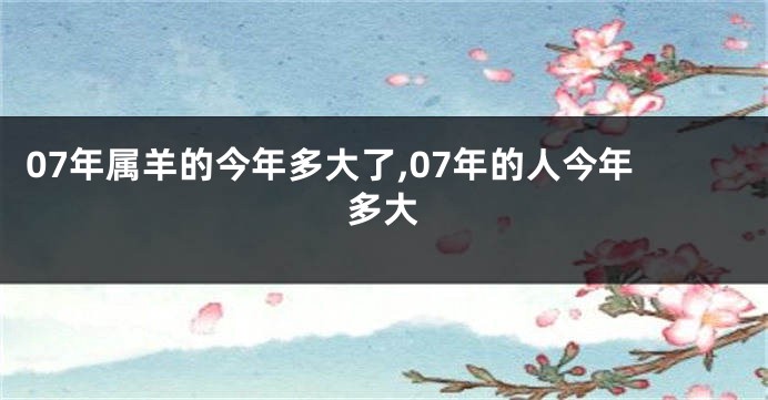 07年属羊的今年多大了,07年的人今年多大